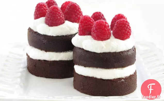 Gâteau aux Framboises Au Chocolat