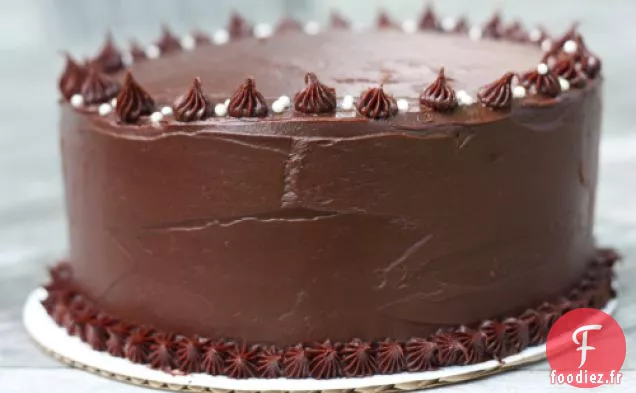 Gâteau Double Couche De Chocolat