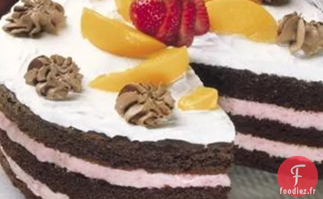 Gâteau à la Crème Glacée Au Chocolat