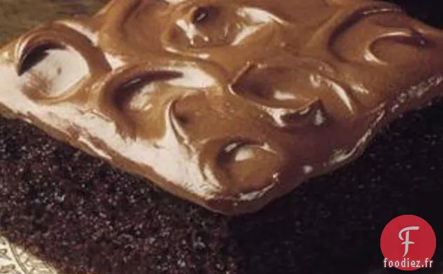 Gâteau Au Chocolat Noir Profond