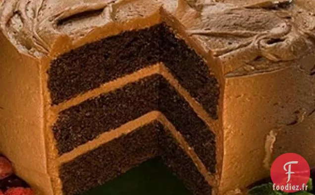 Gâteau au Chocolat Facile à Récolter