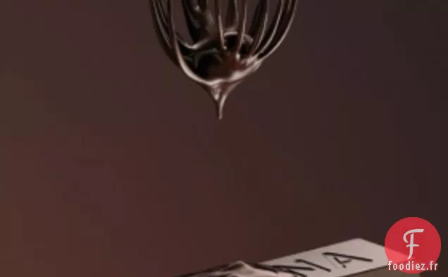 Le Gâteau au Chocolat à faible teneur en glucides