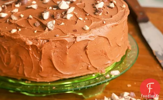 Gâteau Au Chocolat au Lait Malté