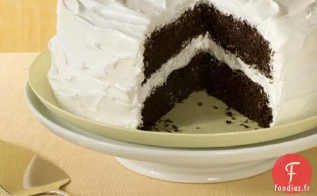 Gâteau Au Chocolat Noir Profond