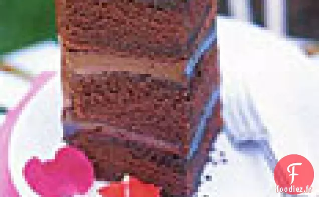 Gâteau à la Ganache au Chocolat
