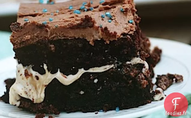 Gâteau Au Malt Au Chocolat