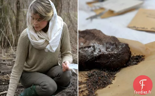 Gâteau au Chocolat Super infusé Cru