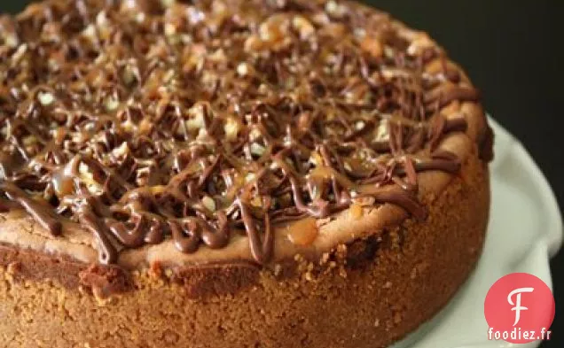 Gâteau au Fromage Tortue