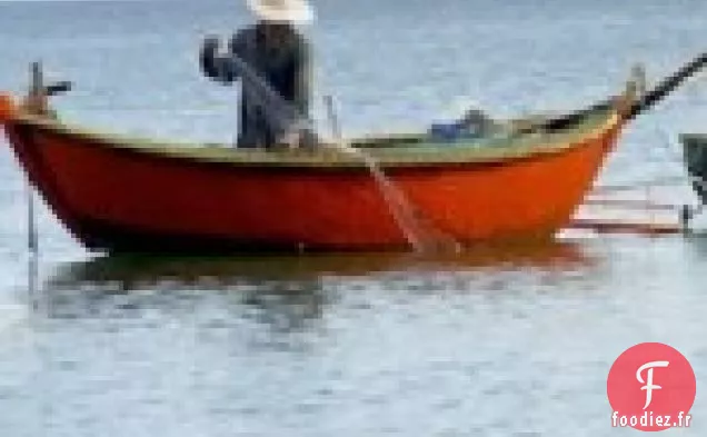 Vivaneau Rouge Grillé À La Citronnelle, Recette Du Chili