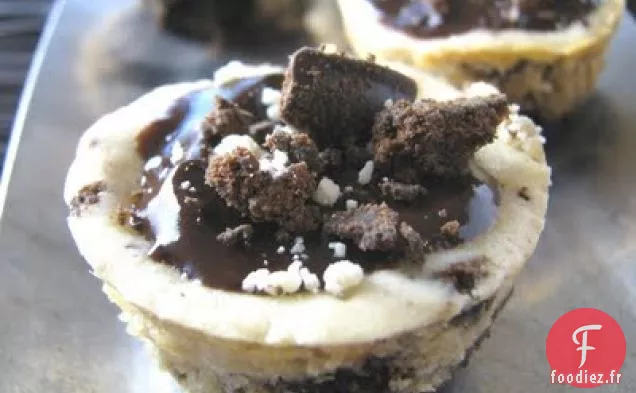Tasses à Gâteau au Fromage à Biscuits Minces à la Menthe Girl Scout