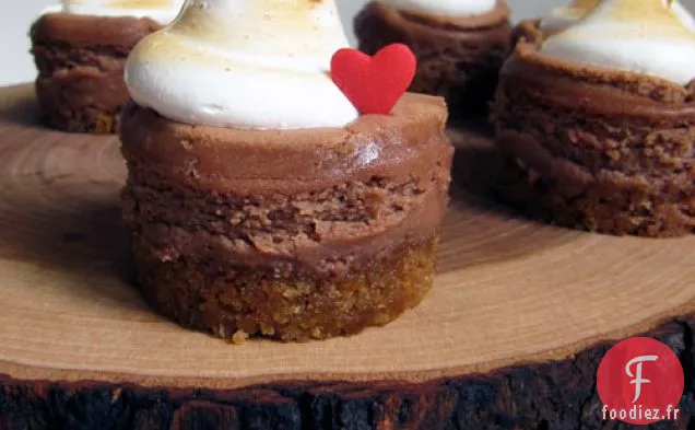 Mini Gâteaux au Fromage S'mores