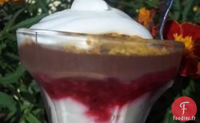 Gâteau au Fromage sans Cuisson Ii