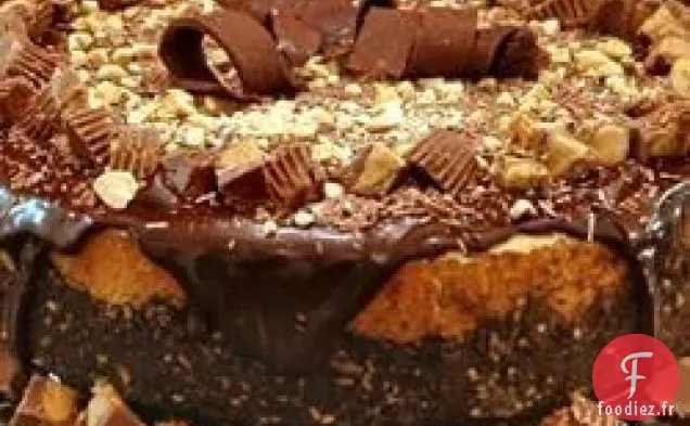 Le Gâteau au fromage Préféré de Petit Mickey