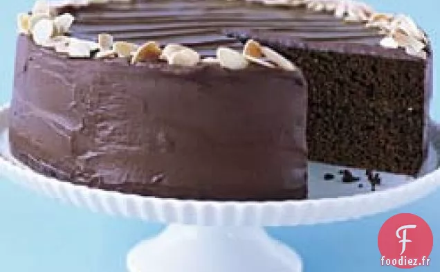 Meilleur Gâteau de Couche de Fudge au Chocolat