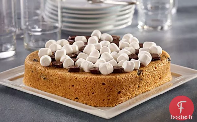 Gâteau au Micro-Ondes Mystère Magique S'Mores