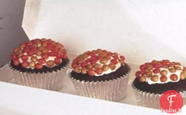 Petits Gâteaux Au Cacao Faciles