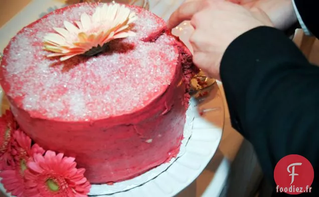 Gâteau aux Framboises Rose Vif