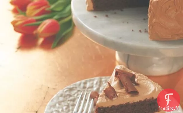 Gâteau Riche en Couches De Chocolat