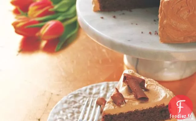 Gâteau au Chocolat Riche Ii
