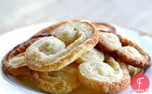 Palmiers (Oreilles d'Éléphant)