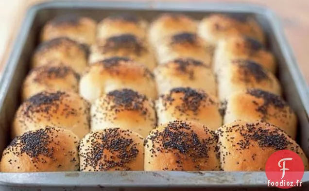 Rouleaux de Thé Hollandais de Pennsylvanie