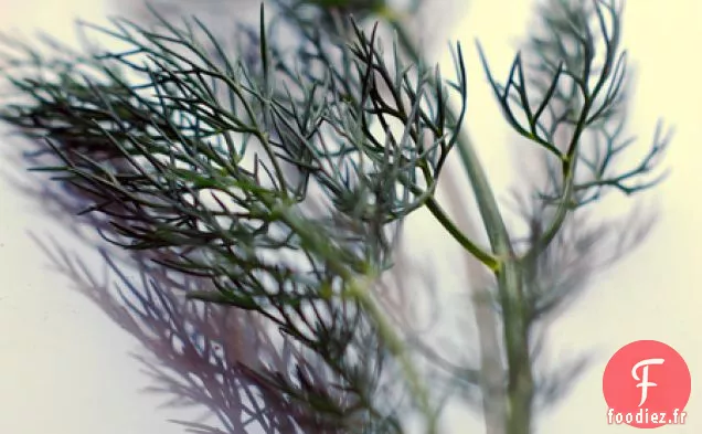 Salade De Truite Fumée Et Pommes De Terre Kipfler