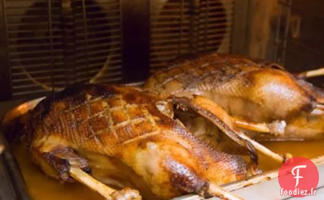 L'Oie de Noël de Shirley Balboa