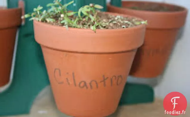 Escalopes De Dinde À La Mijoteuse Salsa À La Mangue Recette