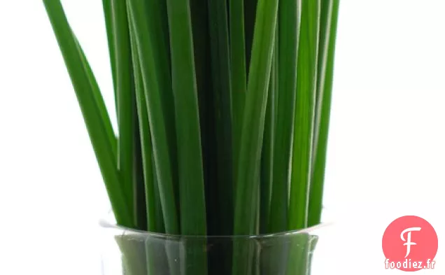 Crevettes d'École En Pot