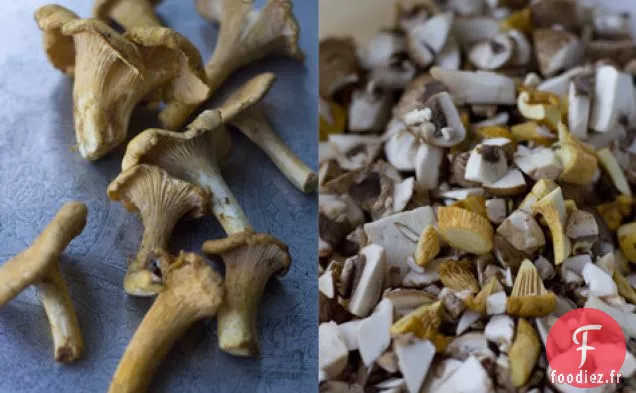 Chaudrée de Champignons Mélangés