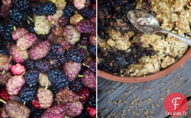 Ici, Nous faisons le Tour du Mûrier: Crumble de Mûrier et d'Épinard Beurré