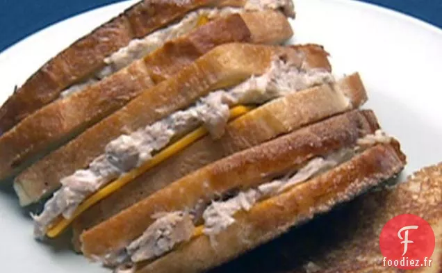 Fonte du thon du Mississippi de Mater