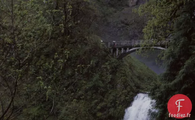 Recette de Pain Soda à six graines