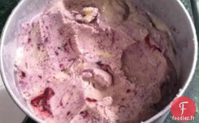 Crème Glacée à la Vanille IV