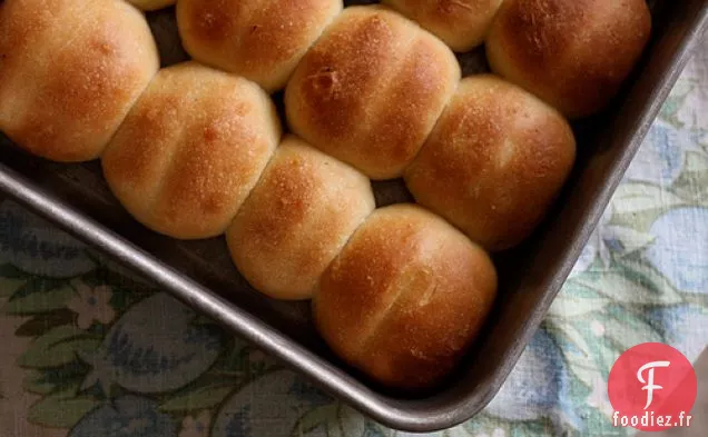 Rouleaux de Maison Parker