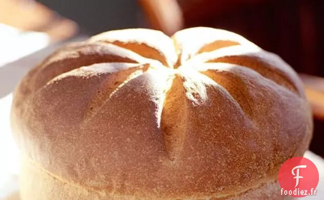 Tours de Farine de Maïs au Miel