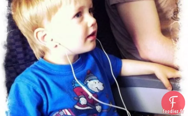 Biscuits Au Miel Et À L'Avoine Avec Des Graines De Tournesol Enrobées De Chocolat