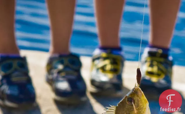 Poisson Entier Grillé Avec Trempette De Soja Au Chili