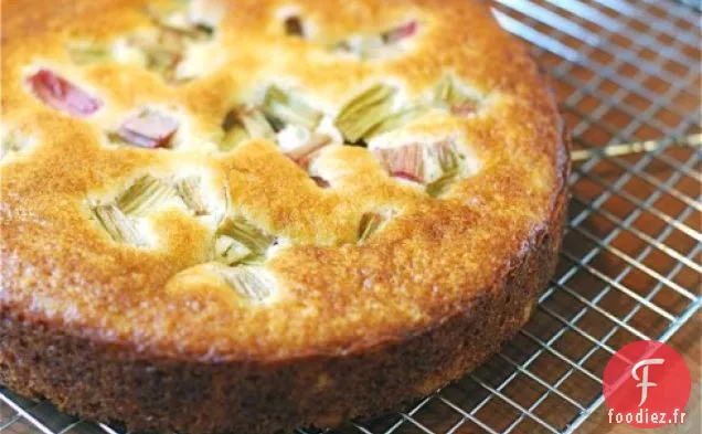 Gâteau au Yaourt à la Rhubarbe