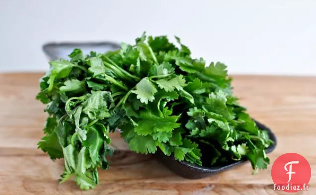 Houmous aux Haricots Blancs à la Coriandre Et au Citron Vert
