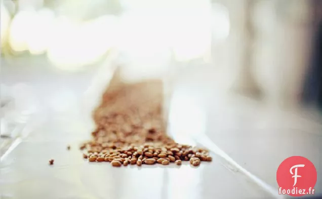 Salade De Baies De Blé Avec Roquette, Cerises Et Vinaigrette Au Pom