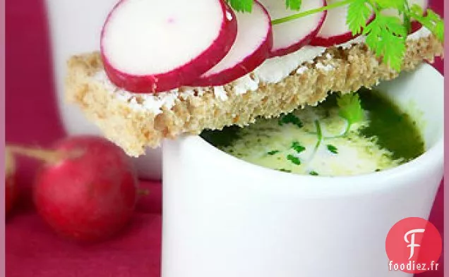 Soupe De Radis Rouge Et Roquette