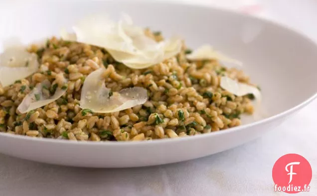 Farro Au Pesto Grossier