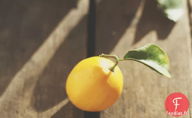 Caillé de Citron Meyer + Scones à la Crème