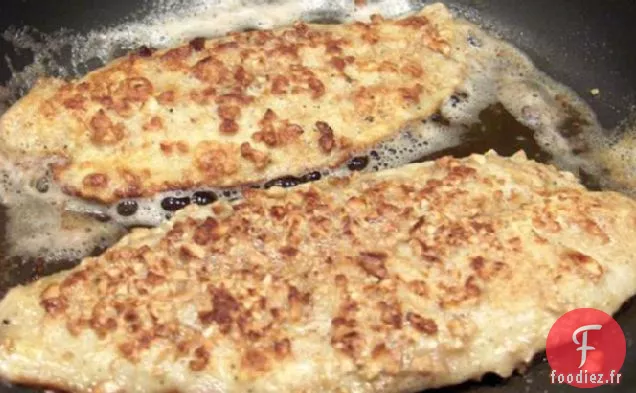 Poisson-Chat de Cajou