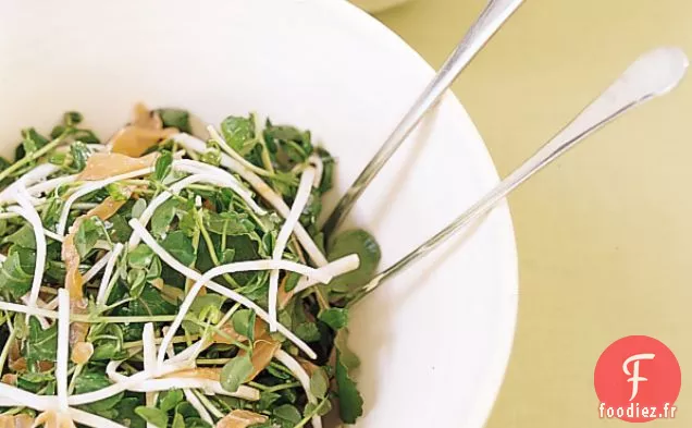 Salade de Roquette et Pousses de Pois au Saumon Fumé