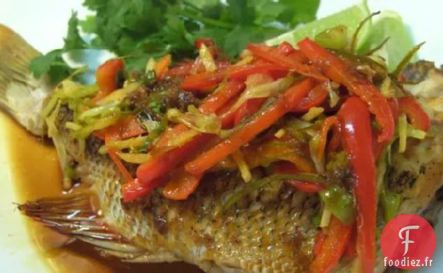 Poisson Gingembré des îles