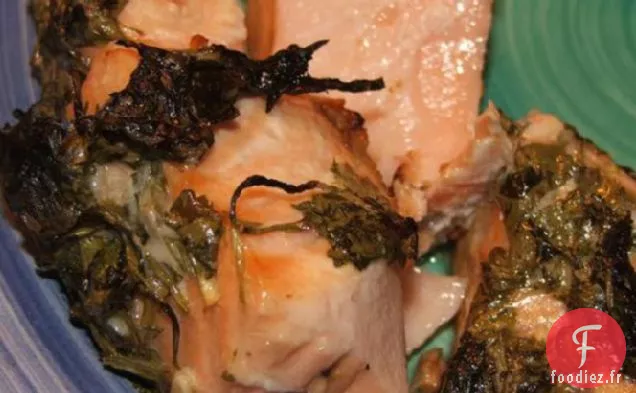 Saumon À Solution Rapide Au Citron Vert et à la Coriandre (Coriandre)