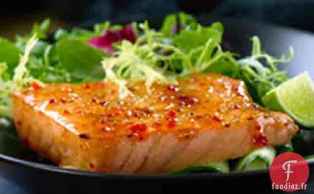 Saumon Glacé au Chili