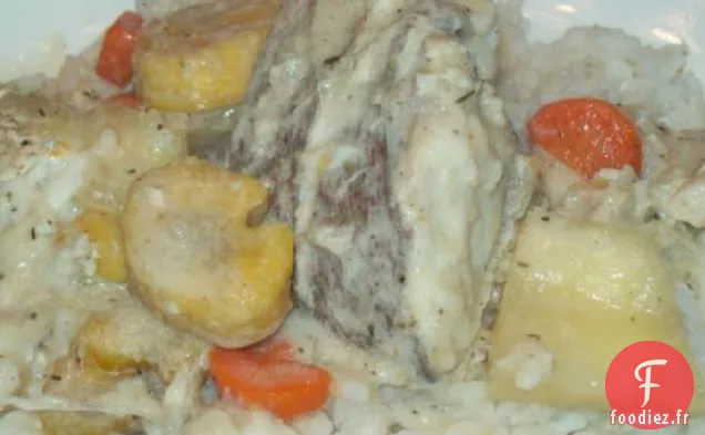 Serre aux Poissons Béliziens